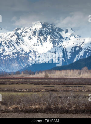 Paysages de montagnes majestueuses du sud de l'Alaska Banque D'Images