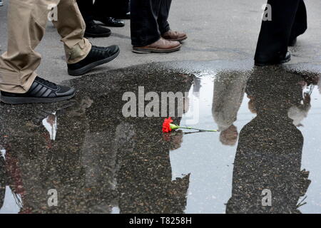 Kiev, Ukraine. 9 mai, 2019. La fleur se trouve sur le sol dans une flaque d'eau pendant le passage des gens. Les gens détiennent des photos de soldats de la Deuxième Guerre mondiale qu'ils prennent part à l'Immortel Regiment mars pendant la fête de la Victoire à Kiev Crédit : Aleksandr Goussev/Pacific Press/Alamy Live News Banque D'Images