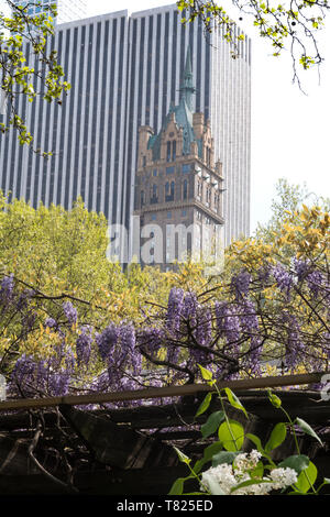 Hôtel et le Sherry-Netherland General Motors Building sur la Cinquième Avenue vu depuis le zoo de Central Park, NYC Banque D'Images