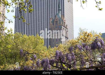 Hôtel et le Sherry-Netherland General Motors Building sur la Cinquième Avenue vu depuis le zoo de Central Park, NYC Banque D'Images