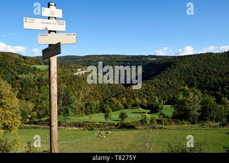 La France, le Jura, les Hauts de Bienne, Lezat, Gorges de la Bienne Banque D'Images