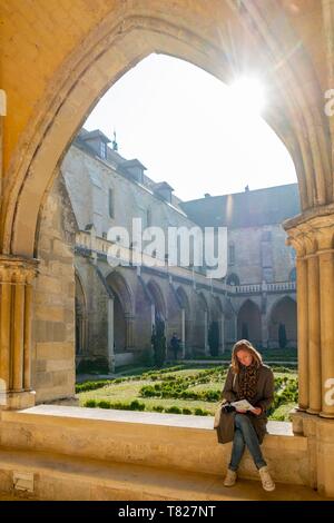 France, Val d'Oise, Asnieres sur Oise, l'abbaye cistercienne de Royaumont, le cloître Banque D'Images