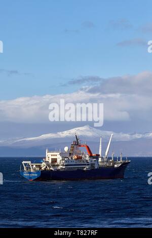 La France, de l'Océan Indien, Finland, Marion Dufresne (approvisionnement et de navire océanographique des TAAF), îles Kerguelen, le bateau ancré au Port-aux-Français avec la péninsule de Ronarc'h dans l'arrière-plan Banque D'Images