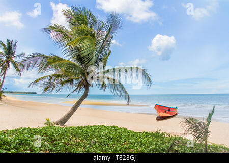 Palm tree on tropical beach, Prachuap Khiri Khan, Thaïlande Banque D'Images