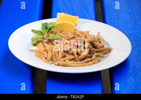 France, Bouches du Rhône, la Côte Bleue, Ensuès la redonne, calanque Méjean, port de Grand Méjean, restaurant Le mange tout, la plaque de Mange Tout en friture Banque D'Images