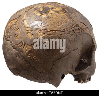 Un trophée de la crâne dayak de Bornéo, crâne sculptés, le skullcap abondamment décoré avec des ornements. Brun clair, patine légèrement taché. Les dents de la mâchoire supérieure partiellement conservé. Les rochers légèrement craquelé, les orbites avec des traces de l'âge. Hauteur 15 cm., historique, historique de l'archipel indonésien, l'Indonésie, l'Extrême-Orient, Asie, Asiatique, l'ethnologie, l'appartenance ethnique, tribale, ethnique, objet, objets, alambics, clipping, coupures, cut out, cut-out, cut-outs,-Additional-Rights Clearance-Info-Not-Available Banque D'Images