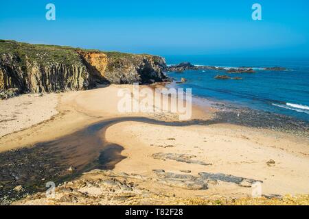 Le Portugal, l'Alentejo, au sud-ouest Alentejano et Costa Vicentina Parc Naturel, sur le sentier de randonnée Almograve Rota Vicentina (Sentier des Pêcheurs) Banque D'Images