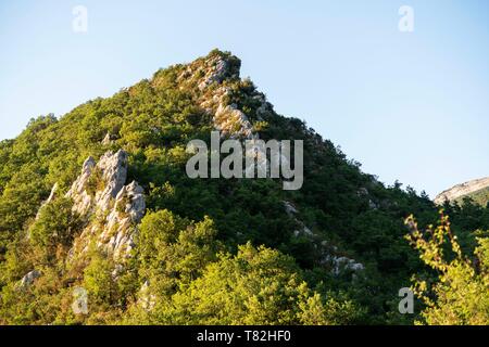 France, Drôme, Vercors, Diois, Saillans, réserve faunique de Grand Barry Banque D'Images