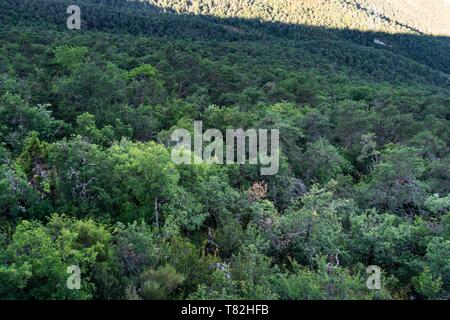 France, Drôme, Vercors, Diois, Saillans, réserve faunique de Grand Barry Banque D'Images