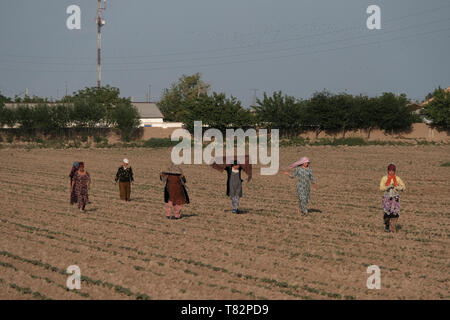 Des femmes ouzbèkes marchent dans un champ agricole labouré à la périphérie de la région moderne de Termez, Surkhandarya ou Surxondaryo en Ouzbékistan Banque D'Images
