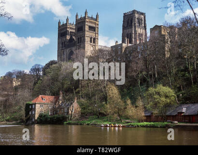 Cathédrale de Durham (1093 à 1133 Ma) de l'autre côté de la rivière l'usure. Le comté de Durham, Angleterre. Banque D'Images