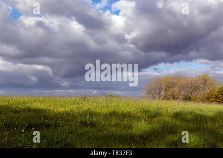 Mots-clés Devon, domaine agricole, ferme, Exmoor, Exmoor National Park, de l'Agriculture, de l'Angleterre, l'anglais de la culture, de l'herbe, pâturage, Horizontal, Land, Land Banque D'Images