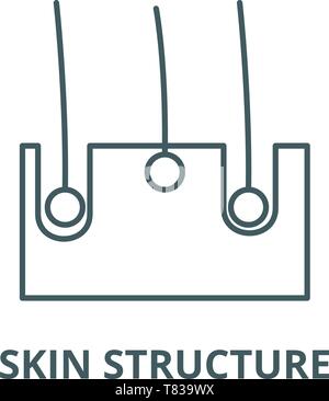 La structure de la peau, l'icône de la ligne du vecteur concept linéaire, contour affiche, symbole Illustration de Vecteur