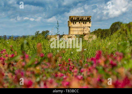Parc de la zone urbaine, Zone Archéologique de Metaponto. Temple Ionique. Basilicate Banque D'Images