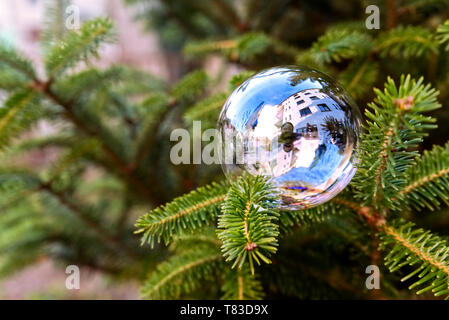 Bubble avec réflexion niché sur une branche d'arbre. Banque D'Images