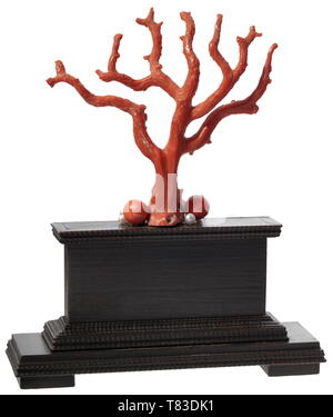 Un grand arbre corail allemand du 19e siècle. Direction générale robuste, magnifiquement cultivé de corail rouge encadré par huit perles et deux boules de corail. Monté sur un socle en bois ebonised avec moulage ondulation continue. Sur le recto de la pièce d'argent de l'électeur de Bavière Maximilien III Joseph (1727 - 1745 - 1777) dans un montage de crabe avec floral, plaques d'argent ajouré sur les côtés. Hauteur totale 26 cm., historique, historique de l'artisanat, l'artisanat, craft, objet, objets, alambics, clipping, coupures, cut out, cut-out, cut-outs, 19e siècle, Additional-Rights Clearance-Info-Not-Available- Banque D'Images