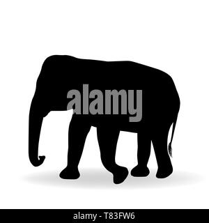 Silhouette d'éléphant isolé sur fond blanc vector Illustration de Vecteur