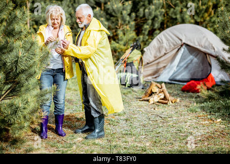 Couple en jaune d'imperméables à profiter de la nature le camping avec tente et cheminée dans la jeune forêt de pins Banque D'Images