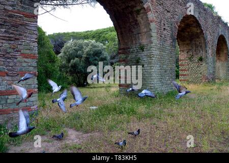 La France, Var, Fréjus, Forum Julii, parc de la Villa Aurelienne, aqueduc romain Banque D'Images