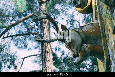 Tête de cerf en bois sur mur en bois en place publique. Projet d'animaux ou d'objets décoratifs de trophée. Concept de taxidermie. Banque D'Images