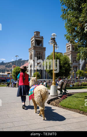 Propriétaire de lama en costume local à touristes à Plaza de Armas ou place principale de Huaraz, Ancash, Pérou Région Banque D'Images