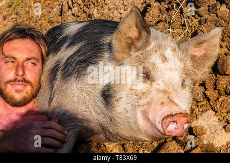 Portrait drôle avec homme séduisant avec meilleur ami big pig dormir sur le terrain en plein air côté pays rural nature Banque D'Images
