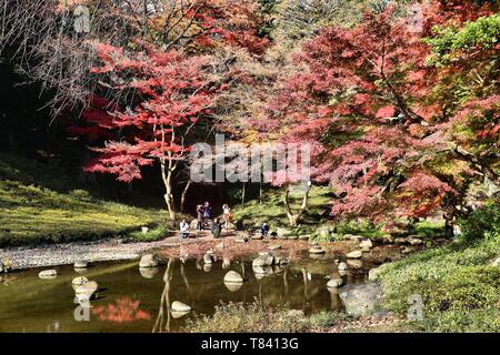 L'automne à Tokyo, Japon - Jardin Koishikawa Korakuen Garden. Banque D'Images