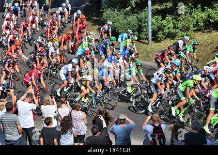 Szczecin, Pologne - 13 juillet 2016 : les cyclistes professionnels ride en peloton du Tour de Pologne bicycle race en Pologne. Le PDT est partie de Monde UCI prestigieux T Banque D'Images