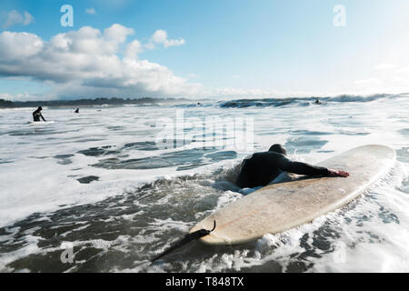 Young male surfer avec une planche de surf dans l'océan pacifique, vue arrière, Arcata, California, United States Banque D'Images