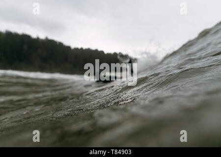 Jeune homme surf surfeur dans le froid de l'océan pacifique, au niveau de la surface vue, Arcata, California, United States Banque D'Images