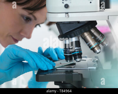 Les tests médicaux de divers échantillons humains dont le sang et les tissus sous microscope in laboratory Banque D'Images