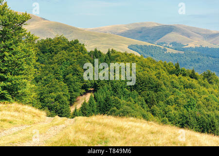 Vieille route de campagne à travers les collines dans la forêt primaires de hêtres. nature paysage avec des arbres le long de la manière. la fin de l'été ensoleillé avec des nuages sur un paysage Banque D'Images