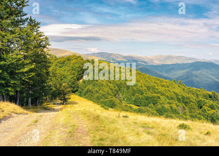 Vieille route de campagne à travers les collines dans la forêt primaires de hêtres. nature paysage avec des arbres le long de la manière. la fin de l'été ensoleillé avec des nuages sur un paysage Banque D'Images