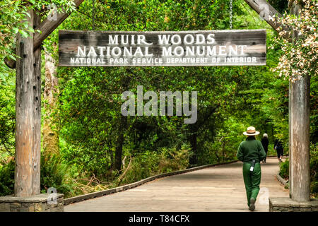 Ranger à l'entrée de Muir Woods National Monument, California USA Banque D'Images