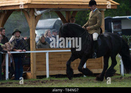 Windsor, Royaume-Uni. Le 11 mai, 2019. Sa Majesté la reine assiste à Royal Windsor Horse Show sur les quatre jours du salon pour regarder son cheval Balmoral Mandarin concurrence Crédit : Maureen McLean/Alamy Live News Banque D'Images