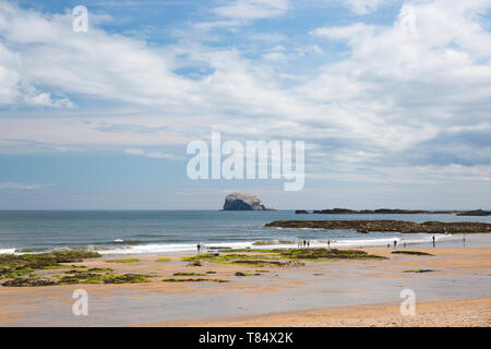 North Berwick, East Lothian, en Ecosse. Les visiteurs se promener le long de l'East Bay, plage à marée basse, le Bass Rock importante dans l'arrière-plan. Banque D'Images