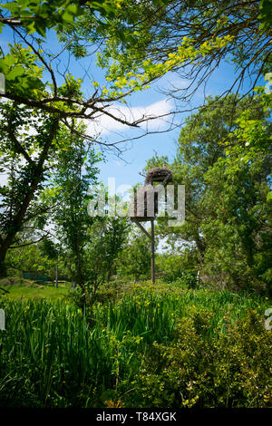 Estany del Cortalet, Aiguamolls de l'Empordà Le parc naturel, la 2e plus importante zone humide en Catalogne. Banque D'Images