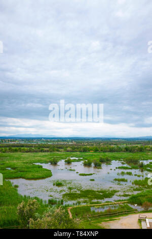 Estanys del Mata, Aiguamolls de l'Empordà Le Parc Naturel Banque D'Images