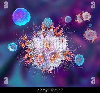 T cell antigen binding, illustration Banque D'Images