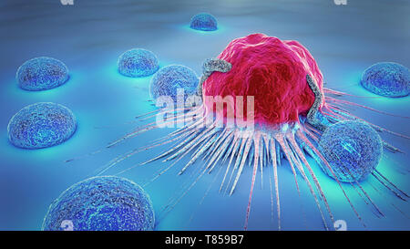 Attaquer des cellules cancéreuses lymphocytes, illustration Banque D'Images