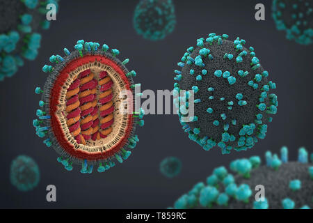 Le virus de la grippe, illustration Banque D'Images