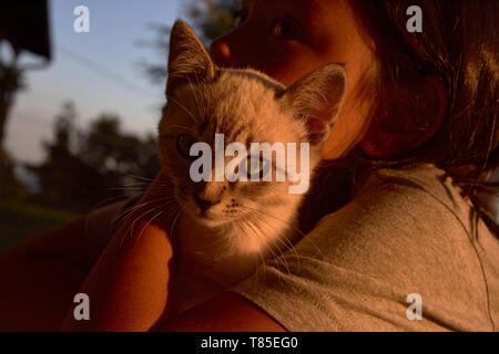 Jeune fille portant un amour de chaton mignon Banque D'Images