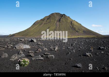 L'Islande, le sud de l'Islande, Sudurland, Région de Fjallabak Sydri, volcan Maelifell Banque D'Images