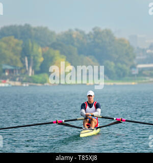 Man rowing scull Banque D'Images