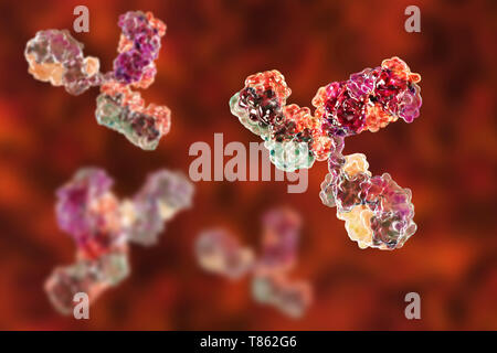 Les molécules d'anticorps immunoglobuline G, illustration Banque D'Images