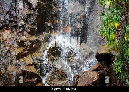 Steavenson Falls, une cascade sur la rivière Steavenson, est situé à 4 kilomètres (2,5 mi) au sud-est de Marysville, Victoria, Australie. Banque D'Images