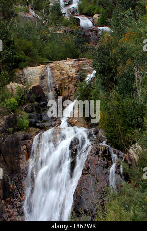 Steavenson Falls, une cascade sur la rivière Steavenson, est situé à 4 kilomètres (2,5 mi) au sud-est de Marysville, Victoria, Australie. Banque D'Images