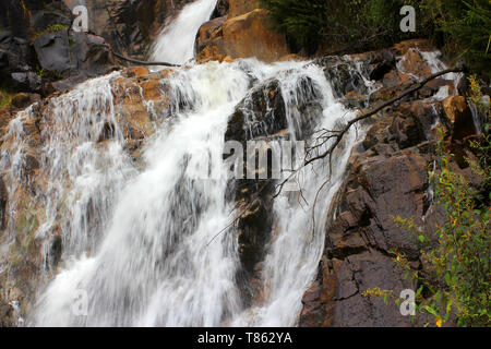 Steavenson Falls, une cascade sur la rivière Steavenson, est situé à 4 kilomètres (2,5 mi) au sud-est de Marysville, Victoria, Australie. Banque D'Images