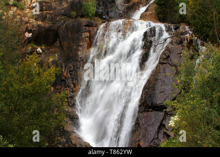 Steavenson Falls, une cascade sur la rivière Steavenson, est situé à 4 kilomètres (2,5 mi) au sud-est de Marysville, Victoria, Australie. Banque D'Images