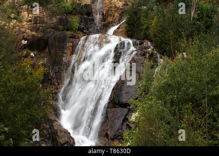 Steavenson Falls, une cascade sur la rivière Steavenson, est situé à 4 kilomètres (2,5 mi) au sud-est de Marysville, Victoria, Australie. Banque D'Images